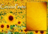 Cocciopesto